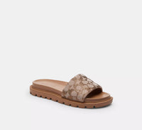 Slides